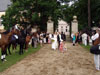 susis hochzeit