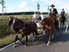susis hochzeit
